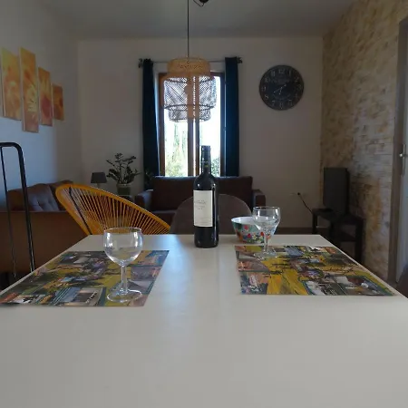 Modern Mansion With Swimming Pool, Terrace, Garden Furniture * Rabastens