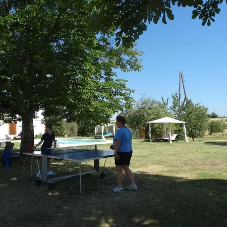 Modern Mansion With Swimming Pool, Terrace, Garden Furniture Rabastens
